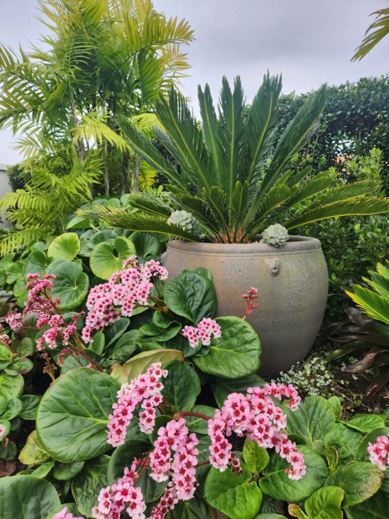 Duin garden