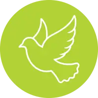 Bereavement Support Franklin Hospice