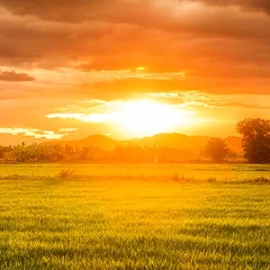 daybreak at franklin hospice